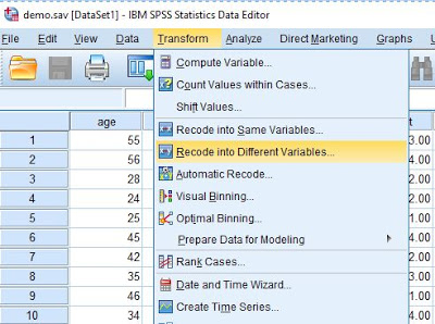 Recode into Same/Different  Variables with Syntax